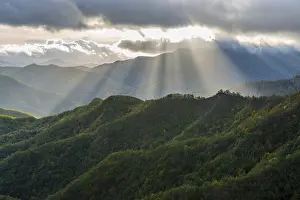Southern Europe Mountainous Landscape Drucke: Rays of light on the forests in the Apennines after a storm