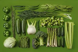 Green Background Still Life Drucke: Rectangular composition with various green vegetables on green background