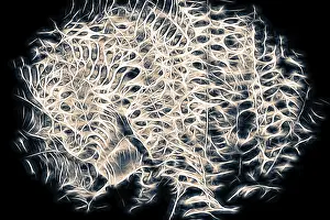 Undulating Wave Pattern Drucke: Rectangular panel with an abstract story in black and white tones