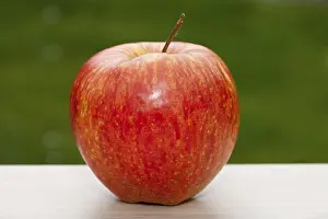 Ripe Fruit Images Drucke: Red apple