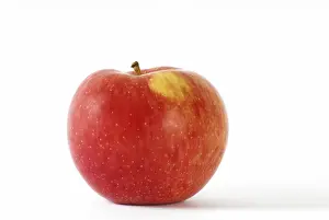 Food Studio Background Drucke: Red apple