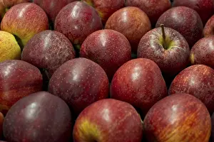 Empty Studio Background Image Drucke: Red apples