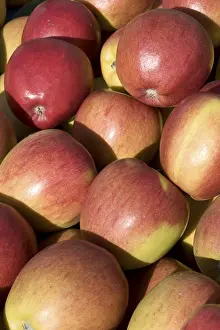 Grocery Store Produce Drucke: Red apples