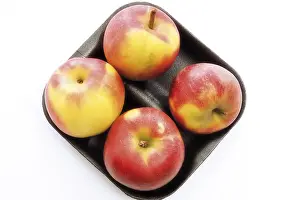 Studio Shot Fruits Drucke: Red apples in plastic tray packaging