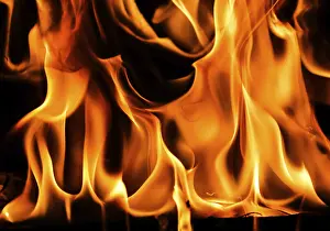 Firewood Burning Drucke: Red blaze Fire flame on a black background