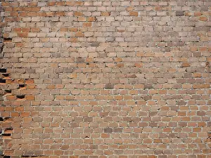 No People In The Background Drucke: Red brick wall background