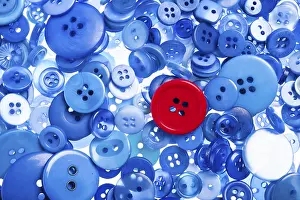 Open Air Blossom Photography Drucke: One red button among blue buttons