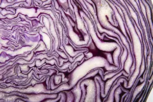 Uninhabited Vegetable Market Drucke: Red cabbage