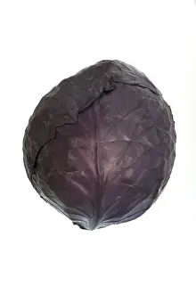 Nutrition Vegetable Plant Drucke: Red cabbage, red cabbage, blue cabbage