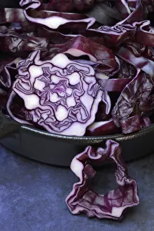 Sliced Red Cabbage Drucke: Red cabbage, sliced red cabbage in pot
