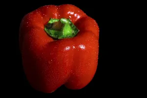 Dark Background Fruit Drucke: Red capsicum with drops on the surface