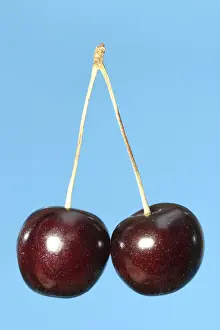 Cutout Fruit Images Drucke: Red cherries