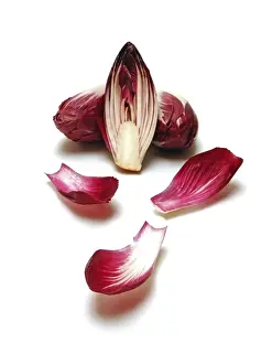 Green Leafy Vegetables Drucke: Three red chicory