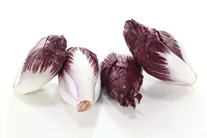 Leafy Vegetable Salad Drucke: Four red chicory salads against a light background