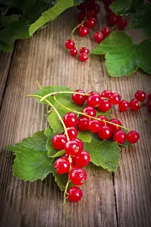 Healthy Eating Drucke: Red currants