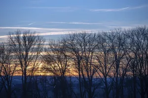 Central Europe Deserted Scene Drucke: Red evening sky, bare trees in front