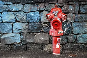 Camara De Lobos Village Drucke: Red fire hydrant in front of a stone wall