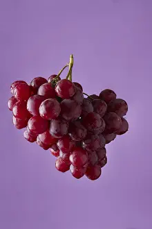 Weight Loss Diet Foods Drucke: Red grape branch on violet background