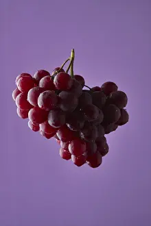 Violet Background Image Drucke: Red grape branch on violet background