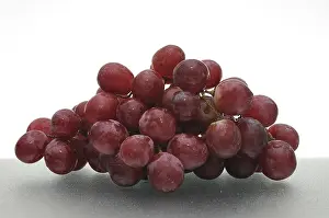Wine Grape Studio Photo Drucke: Red grapes