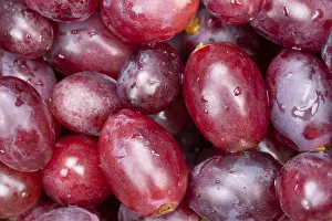 Wine Grape Nutrition Facts Drucke: Red grapes grape grape fruit fruit background from above