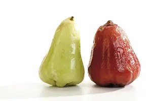 Balanced Diet Healthy Eating Tips Drucke: Red and green Java apple (Syzygium samarangense)