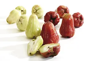 Exotic Fruit Photography Drucke: Red and green Java Apples
