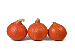Organic Vegetable Drucke: Three Red Kuri squashes