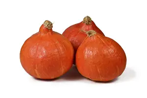 Biological Cultivation Produce Drucke: Three Red Kuri squashes