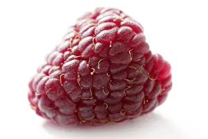 Red Berry Close Up Drucke: One red macro raspberry over white background studio shot