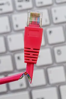 Digital Data Transmission Drucke: A red network cable of a computer