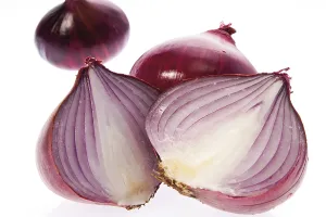 Red Onions Drucke: Red onions