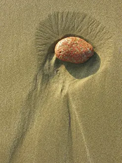 Sandy Beach Stones Drucke: Red pebble in the sand
