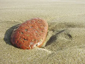 Close Up Sand Drucke: Red pebble in the sand