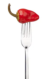 Vegetable Detail View Drucke: red pepper on a fork. Isolated on a white background