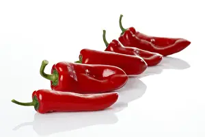 Red Pointed Peppers Drucke: Five red Pointed peppers (Capsicum)