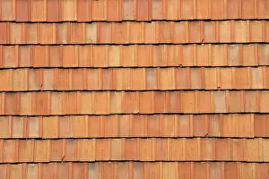 Tiled Roof Architecture Drucke: Red rooftiles