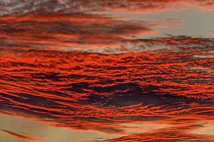 Red Clouds Germany Drucke: Red shining clouds in the evening sky