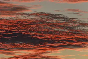 Central Europe Atmospheric Scene Drucke: Red shining clouds in the evening sky