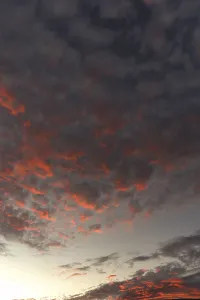 Red Clouds Germany Drucke: Red shining clouds in the evening sky