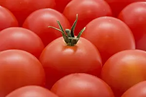 Vegetable Food Images Drucke: Red tomatoes background