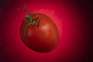 Tomato Nutrition Drucke: Red tomatoes with drops of water on a red background