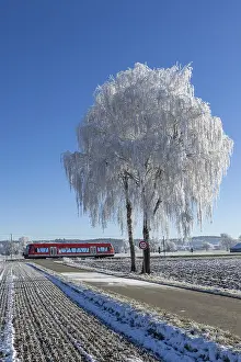 Deserted Railway Drucke: A red train passes a snow-covered tree under a clear sky