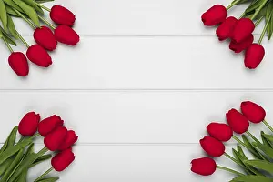 Spring Flower Arrangement Drucke: Red tulips frame with copy space