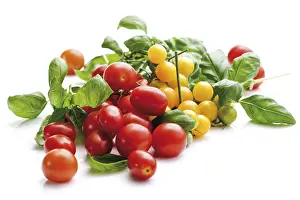 Studio Shot Of Tomatoes Drucke: Red and yellow grape tomatoes with basil