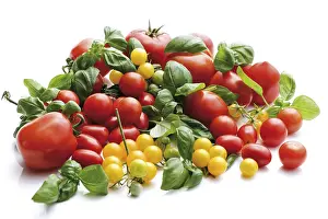 Balanced Diet Nutrition Drucke: Red and yellow grape tomatoes with basil