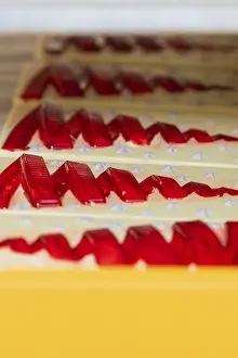 German Christmas Treats Drucke: Red and yellow patterns on chocolate bars in a row