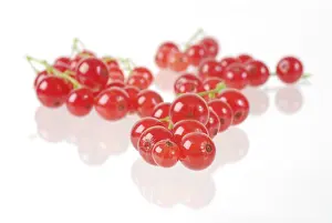 Red Berry Images Drucke: Redcurrant ribes rubrum