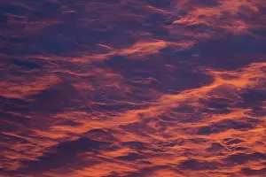 Red Sky Dawn Drucke: Reddish orange cloud structures, dawn