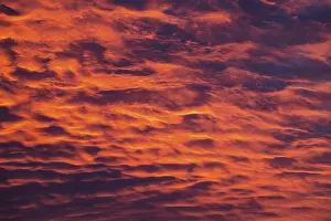 Morning Light Effect Drucke: Reddish orange cloud structures, dawn